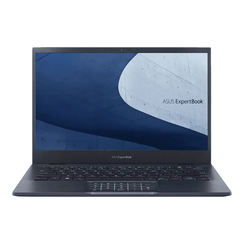 Чистка от пыли Asus L2 L2502CYABQ0125