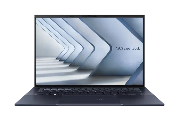 Чистка от пыли Asus B2 B2502CBAKJ0310X